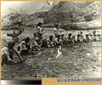 藏品(集體農作之泰雅族人)的圖片
